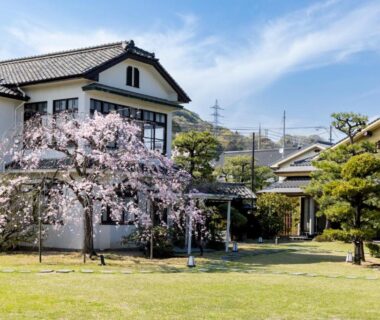 Weeping cherry tree and manicured lawn at Ryokan Onomichi Nishiyama in Hiroshima Chūgoku