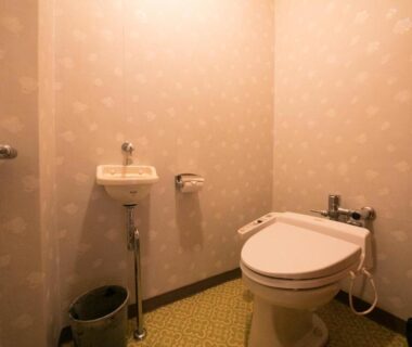 Small toilet room with wall-mounted sink and handrail at Ryokan Seishounagon in Mie