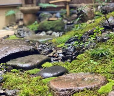 Stepping stones and moss with a stone lantern at Ryokan Tori in Kyoto