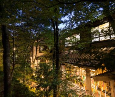 Night-lit wooden ryokan exterior among trees at Ryokan Wakaba in Kumamoto, Kyūshū