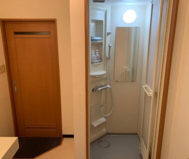 Small shower stall with handheld shower, mirror and wooden sliding door in Ryokan Yamaichi, Hokkaido