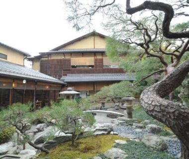 Courtyard garden with pine tree, moss, rocks and wooden ryokan buildings in Kyoto