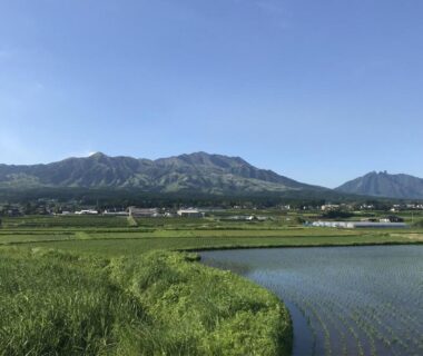 Rice paddies leading to distant mountain range and village near Ryokoji Temple in Kumamoto, Kyushu