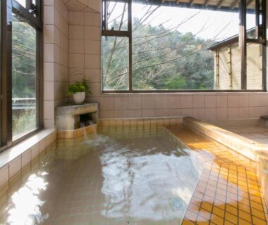 Tiled indoor onsen with wooden edge and hillside view at Ryori Ryokan Shikanoyu in Gifu, Chūbu