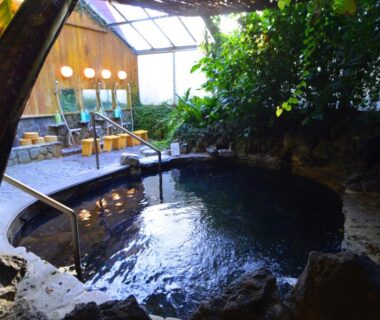 Covered rock-lined onsen bath with wooden handrail, seating area and lush plants at Ryoufuso in Mie Kansai