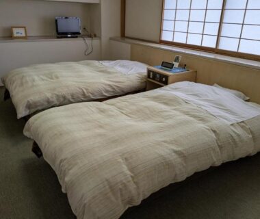 Twin Western-style beds, shoji window, low wooden bedside table and TV at Ryounkaku Matsunoyama onsen, Niigata