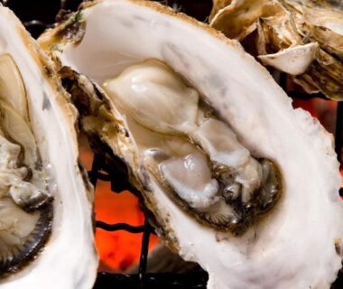 Charcoal grilled oysters on shell, Ryouri no yado Ginrin, Mie, Kansai, Japan