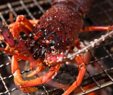 Grilled lobster on metal mesh grill at Ryouri no yado Ginrin in Mie