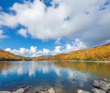 Calm lake reflecting autumn foliage and mountains near Sachinoyu Hotel Shiga Kogen, Nagano