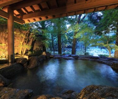 Stone-lined outdoor onsen framed by trees at Saga Fuga in Saga, Kyūshū