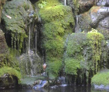 Koi pond with mossy rocks and gentle waterfalls at Saga Grace Hotel Kyoto