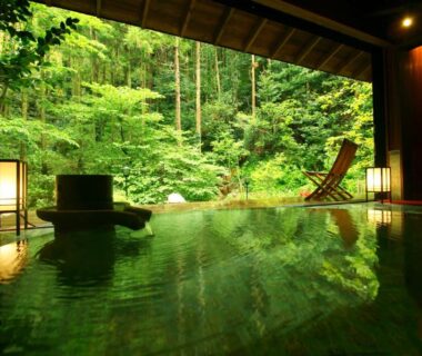 Indoor onsen bath opening to lush forest at Sakahijiri gyokushoen, Shizuoka