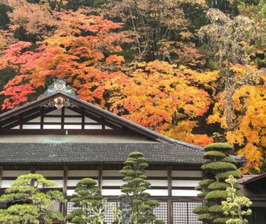 Traditional ryokan roof and manicured pines framed by vibrant autumn maples at Samurai Hotel Naraiso in Nagano