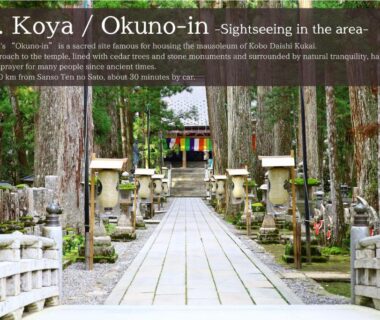 Cedar-lined walkway with stone lanterns leading to shrine, Sanso Amanosato, Wakayama