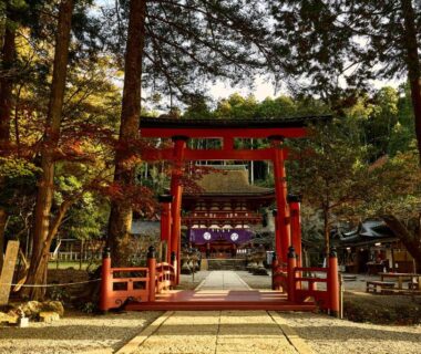 Pathway through red torii gate leading to wooded shrine near Sanso Amanosato, Wakayama, Kansai