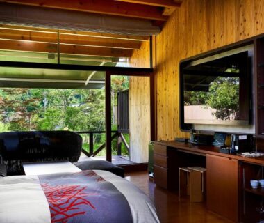 Bright wood interior guest room with low bed, sliding glass doors opening to garden balcony and TV cabinet
