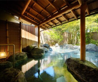Covered rock-lined onsen bath with wooden roof and garden greenery at Saryo Souen, Miyagi, Tōhoku