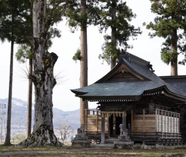 Small wooden shrine among tall trees near Satoyama Jujo The House in Niigata countryside