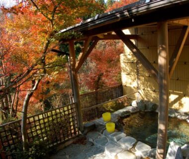 Sawatari Onsen Miyataya Ryokan