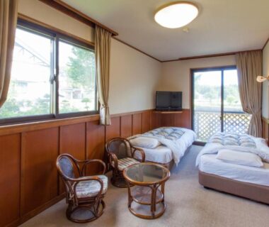 Spacious twin room with rattan chairs, low table, TV and garden view at Schole Hakuba, Nagano