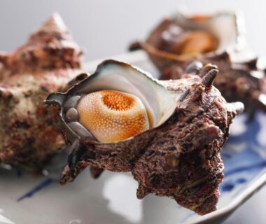 Turban shells on ceramic plate at Seikiro Ryokan, Kyoto