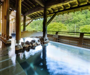 Roofed open-air onsen framed by wooden beams overlooking green hills at Seiryukaku, Iwate