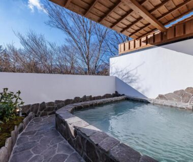 Stone-lined outdoor onsen with wooden shelter and bare trees at Sengokuhara Shinanoki Ichinoyu, Kanagawa