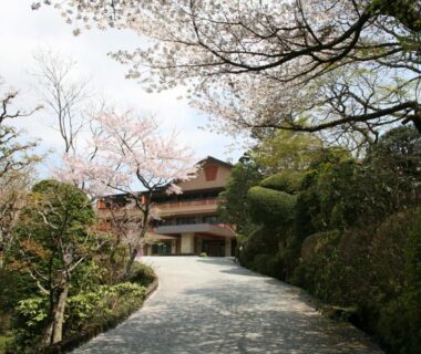 Stone driveway lined with cherry trees leading to Senkyoro ryokan entrance in Kanagawa
