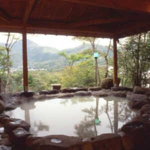 Covered stone onsen bath overlooking wooded hills at Senkyoro in Kanagawa
