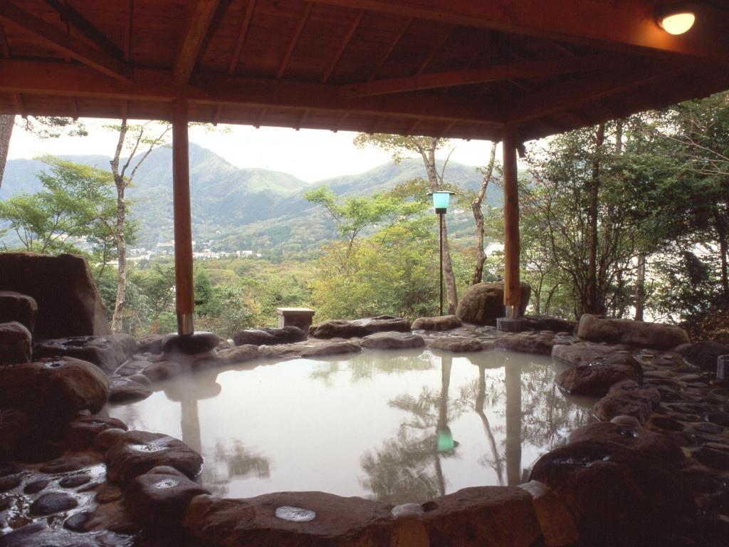 Stone open air onsen at Senkyoro Kanagawa Covered stone onsen bath overlooking wooded hills at Senkyoro in Kanagawa