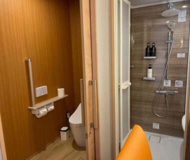 Small modern bathroom with separate shower stall, wall-mounted fixtures, toilet with grab bar, wood-paneled walls at Senoumi Shizuoka