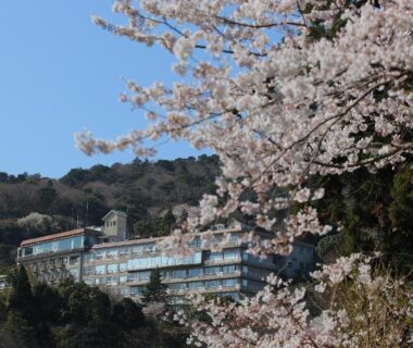 Ryokan building on a wooded hillside visible through cherry blossoms in Mie, Kansai