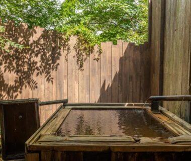 Enclosed wooden soaking tub beneath a leafy canopy at Setsugetsuka in Kanagawa, Kantō