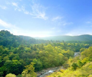 Forested valley with river near Shelter Garden Nikko in Tochigi, Kantō