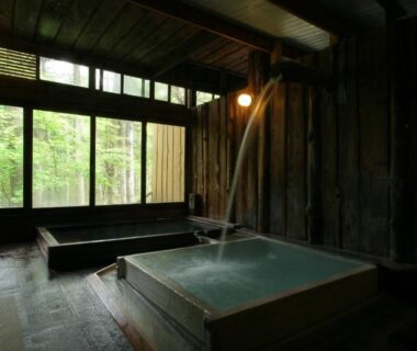 Indoor wooden onsen tubs with flowing spout and windows to greenery at Shibu Tatunokan, Nagano