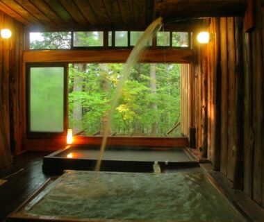 Wooden indoor baths with forest view at Shibu Tatunokan, Nagano, Chūbu region