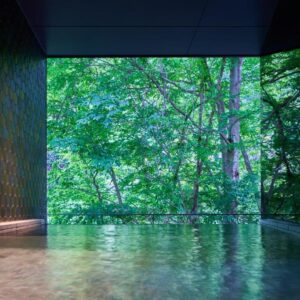 Shima Onsen Yuzuriha