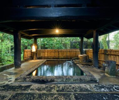 Roofed stone and wooden onsen bath with bamboo fence and forest backdrop at Shinwaen, Kumamoto, Kyushu