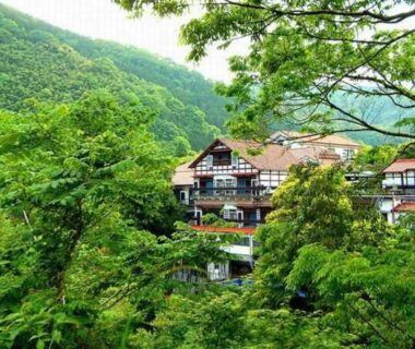 Multi-storey wooden ryokan Shirakabe with balconies among dense green forest on a Shizuoka mountain slope