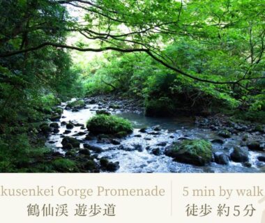 Forest river with mossy rocks along Kakusenkei Gorge promenade near Shirasagiyu Tawaraya in Ishikawa Chubu