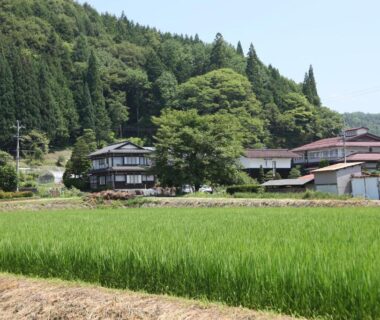 Rice paddies leading to Shitanda ryokan buildings with forested hillside backdrop in Chūbu, Gifu, Japan