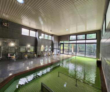 Spacious indoor onsen with green mosaic bath, shower stations and large windows overlooking gardens, Shugyoku no Yu Yakushido Onsen Iwate