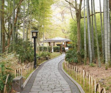 Curving stone walkway through bamboo grove leading to Shuzenji Onsen Hotel Takitei entrance in Shizuoka