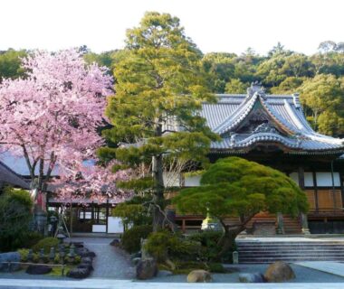 Courtyard with cherry blossom, tiled ryokan facade and manicured garden at Sora Togetsusoukinryu, Shizuoka, Japan