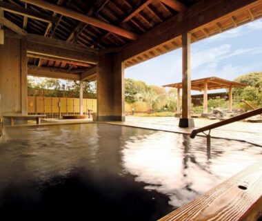 Covered wooden onsen bath with handrail and garden view at Spa&Resort Kujukuri Taiyou-no-sato, Chiba, Kantō
