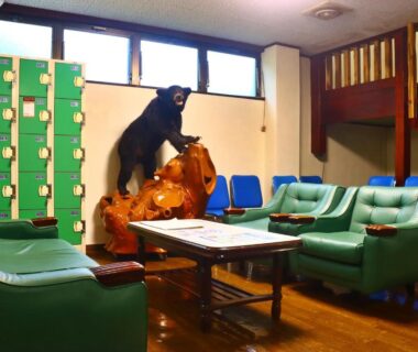 Green leather sofas, mounted bear and lockers in ryokan lounge at Sports Plaza Shiki Haradaso Niigata