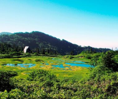Marshland with ponds and distant hills, Star Hotel Akakura, Niigata Chūbu