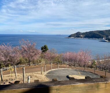Wooden terrace with cherry blossoms overlooking a calm bay and distant headland in Atami, Shizuoka