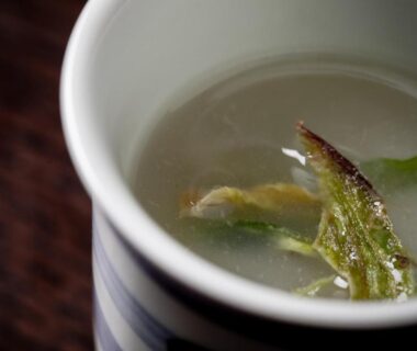 Striped ceramic cup with clear broth and herb garnish at Sui Suwako, Nagano