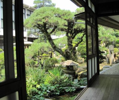 Wooden engawa corridor with shoji screens overlooking lush garden plants, stone lantern and sculpted pine at Suminoe Ryokan Hiroshima
